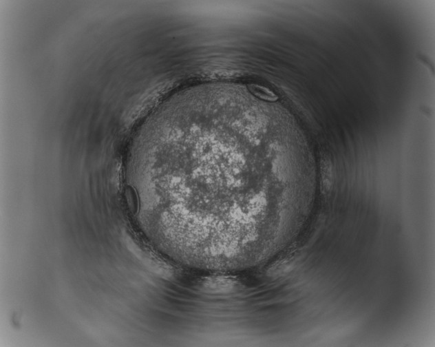 X0000103410451200809261647