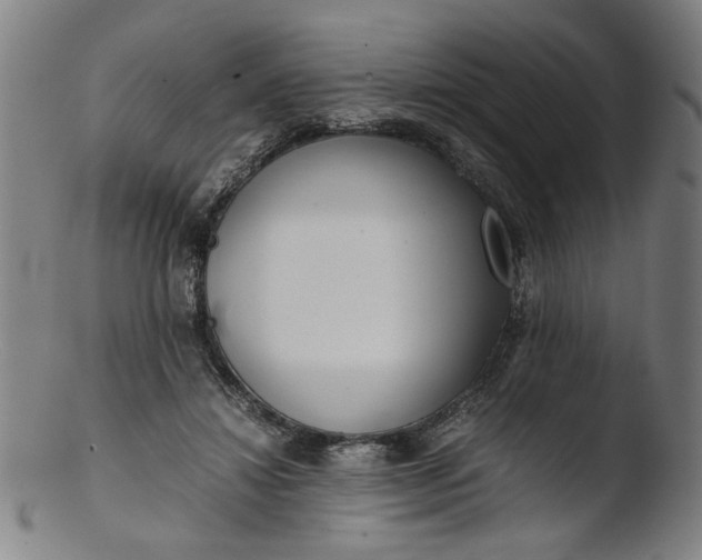 X0000103410452200809261647