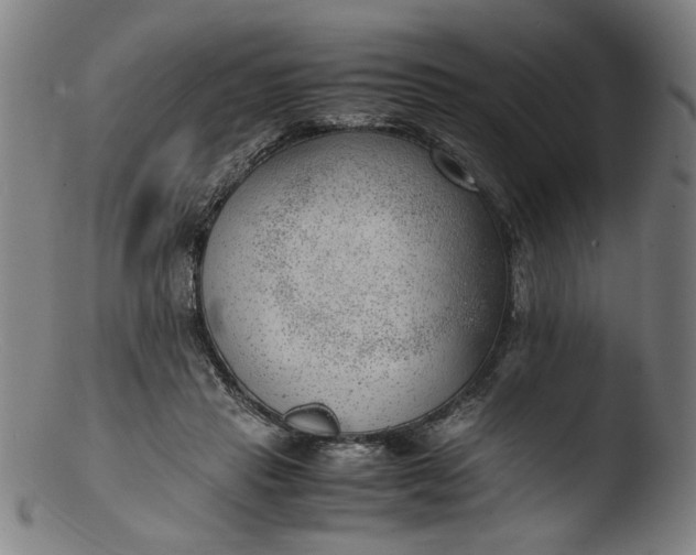 X0000103410453200809261647