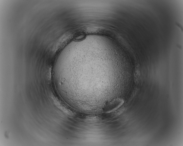 X0000103410454200809261647