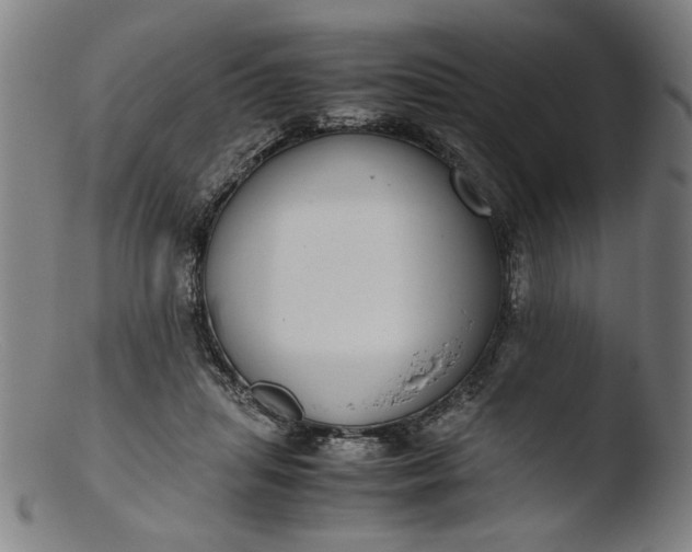 X0000103410455200809261647