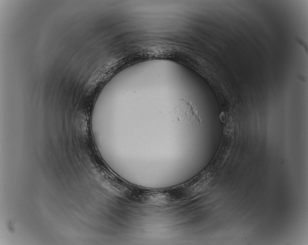 X0000103410456200809261647