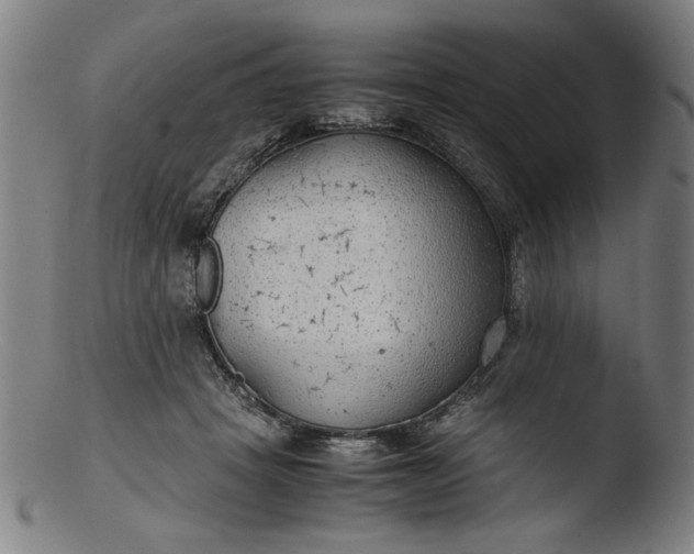 X0000103410457200809261647