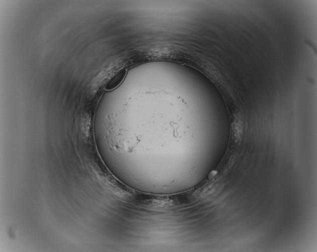 X0000103410458200809261647