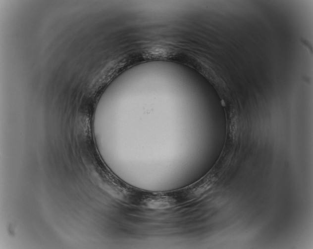 X0000103410459200809261647