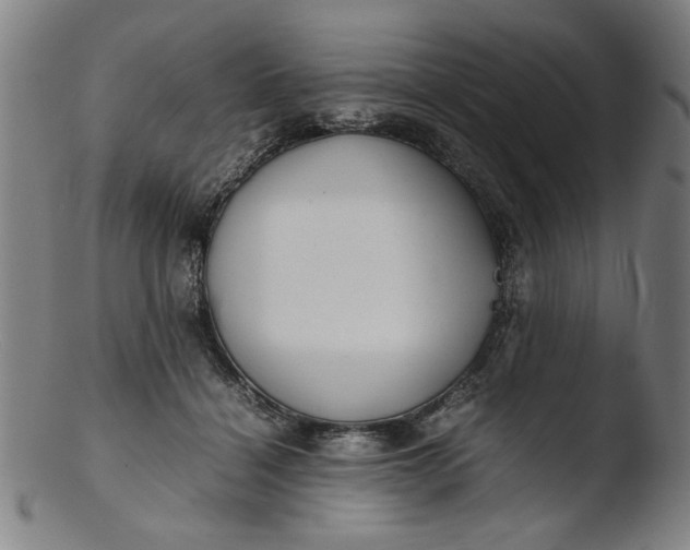 X0000103410460200809261647