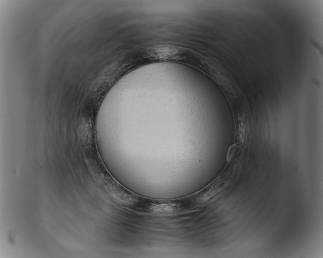 X0000103410461200809261647