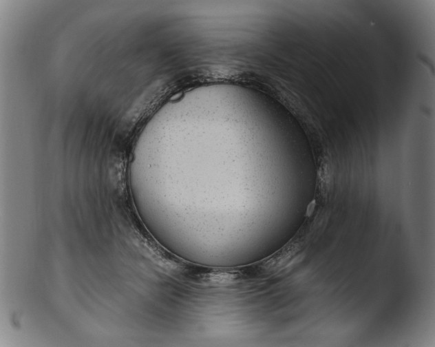 X0000103410462200809261647