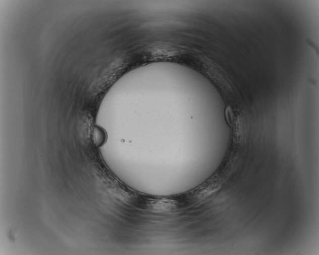 X0000103410463200809261647