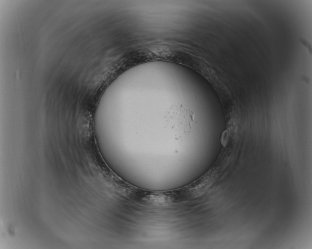 X0000103410464200809261647