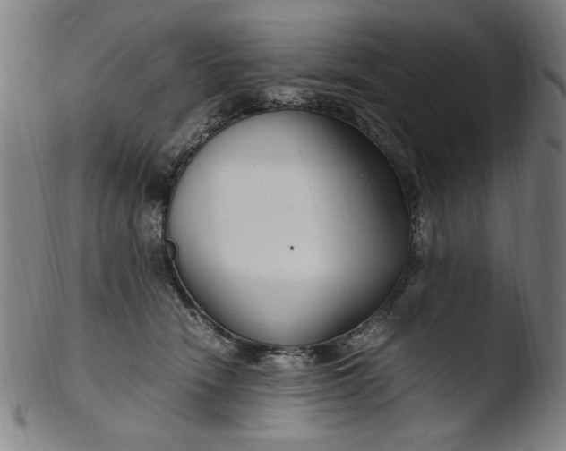 X0000103410466200809261647