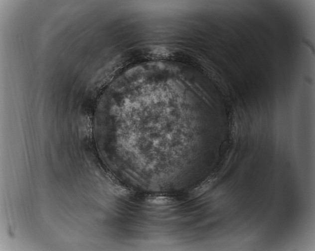 X0000103410467200809261647