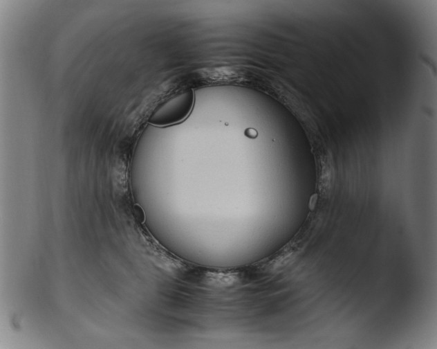 X0000103410469200809261647