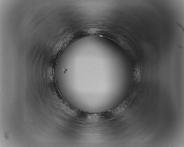 X0000103410470200809261647