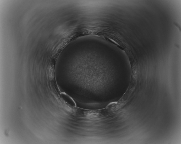 X0000103410471200809261647