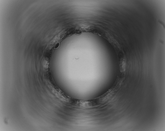 X0000103410472200809261647