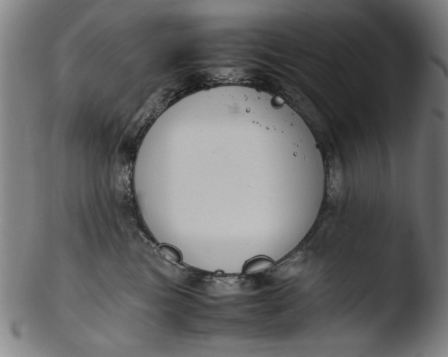 X0000103410473200809261648