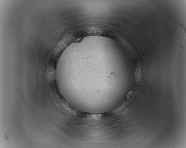 X0000103410474200809261648