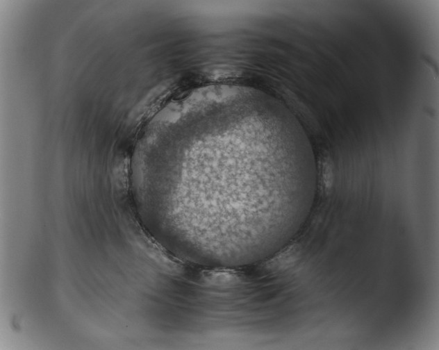 X0000103410475200809261648