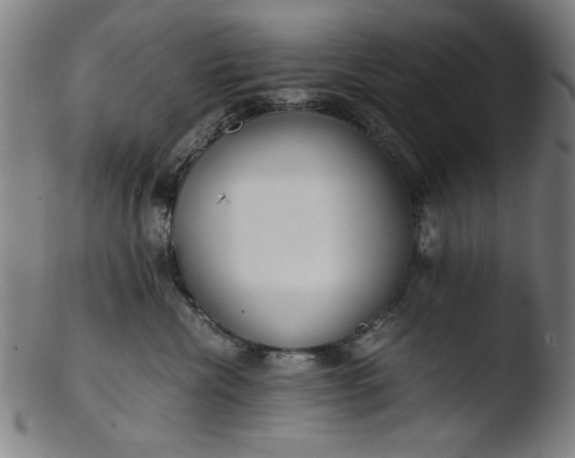 X0000103410476200809261648