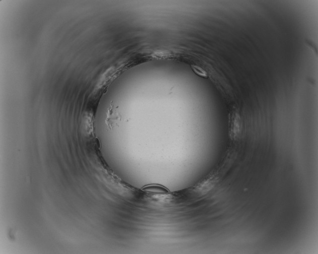 X0000103410478200809261648