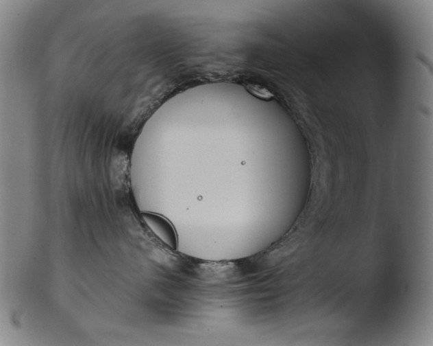 X0000103410480200809261648