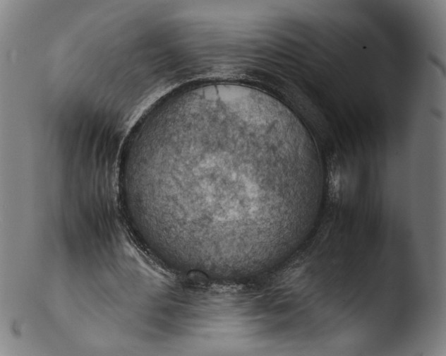 X0000103410484200809261647