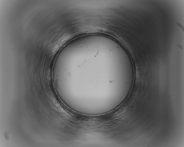 X0000103410485200809261647