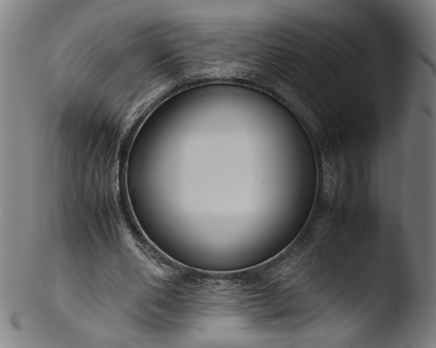 X0000103410486200809261647