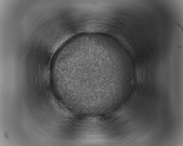 X0000103410488200809261647