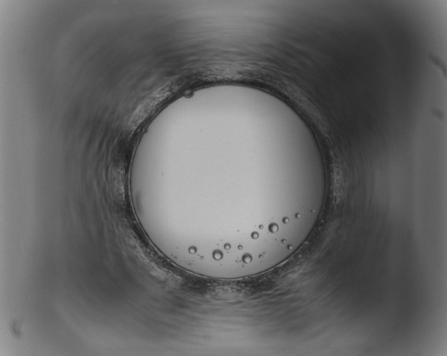 X0000103410489200809261647