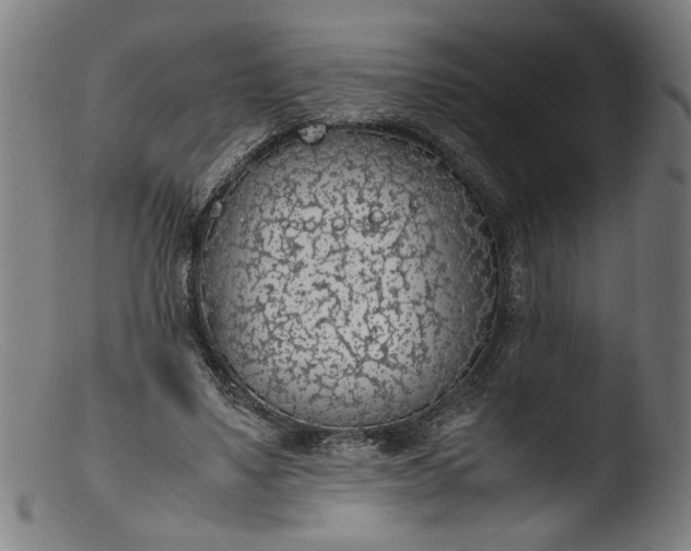 X0000103410491200809261647