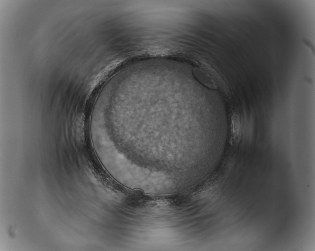 X0000103410492200809261647