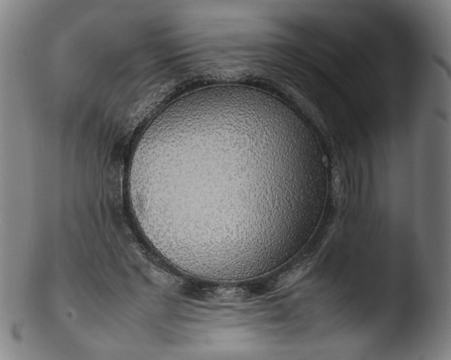 X0000103410493200809261647