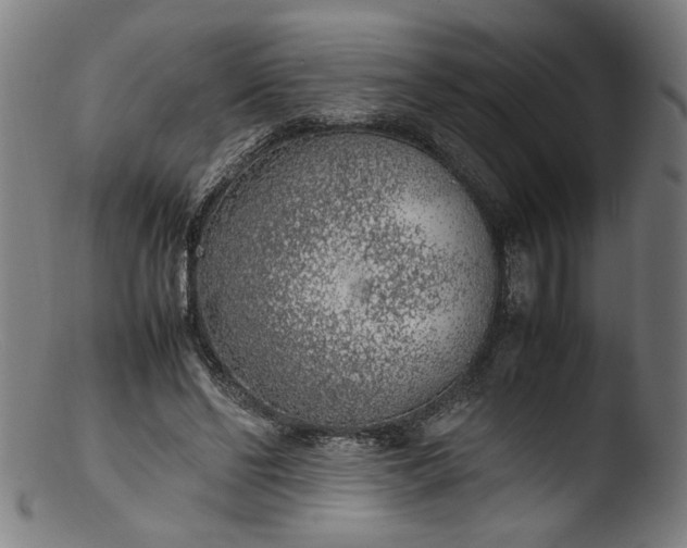 X0000103410494200809261647