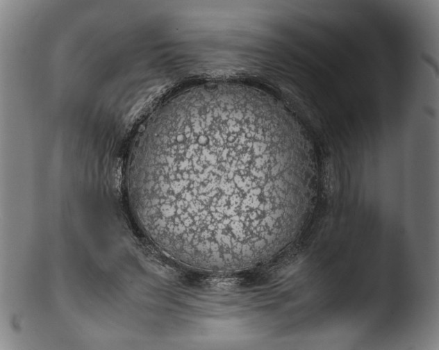 X0000103410495200809261647