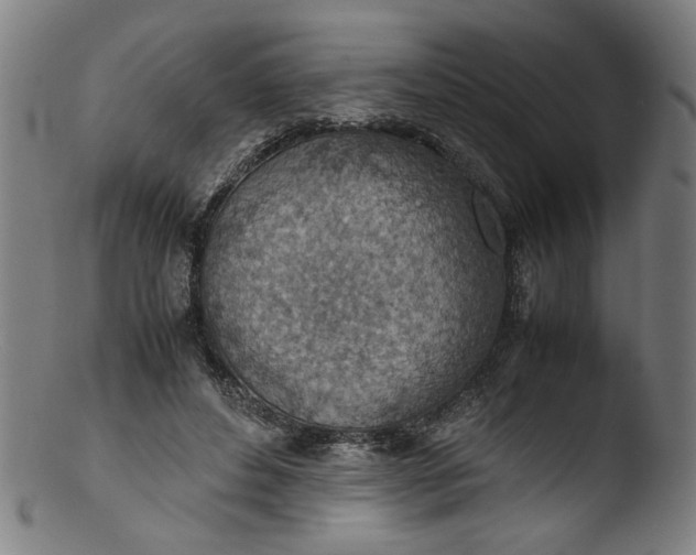 X0000103410496200809261647