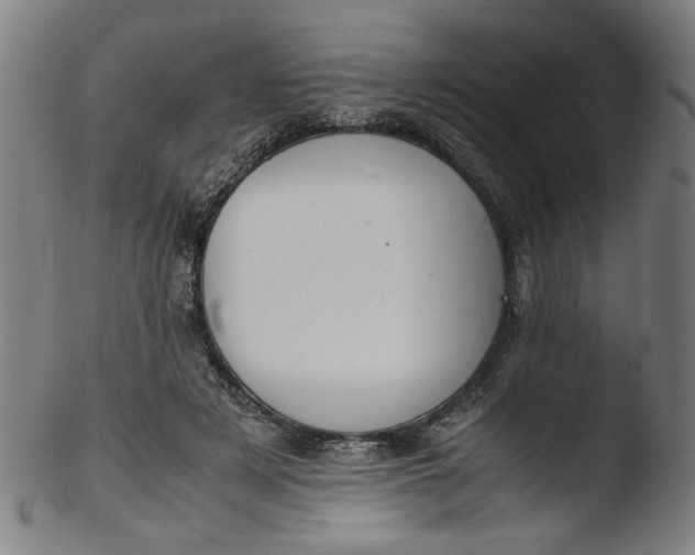 X0000103410497200809261647