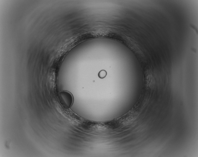 X0000103410498200809261647