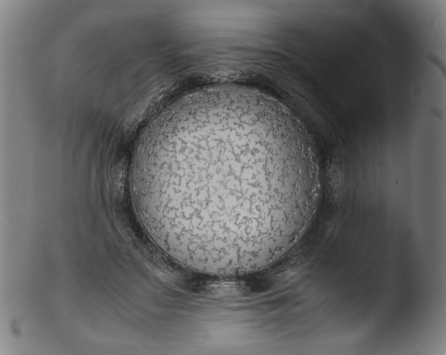 X0000103410499200809261647