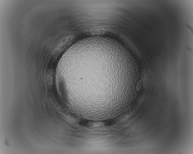 X0000103410501200809261647