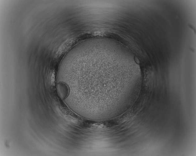 X0000103410502200809261647