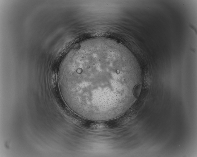 X0000103410503200809261647