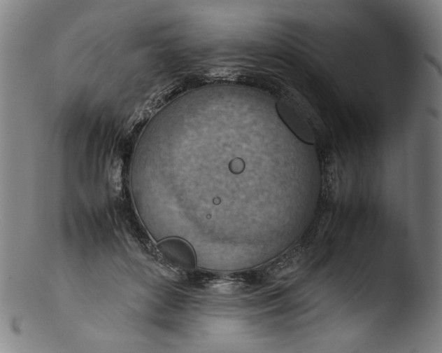 X0000103410504200809261647