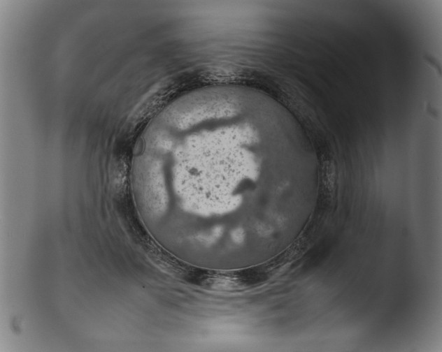 X0000103410507200809261647