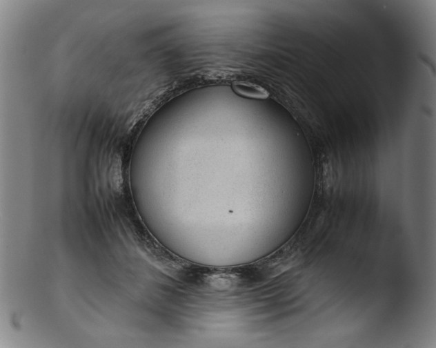 X0000103410508200809261647