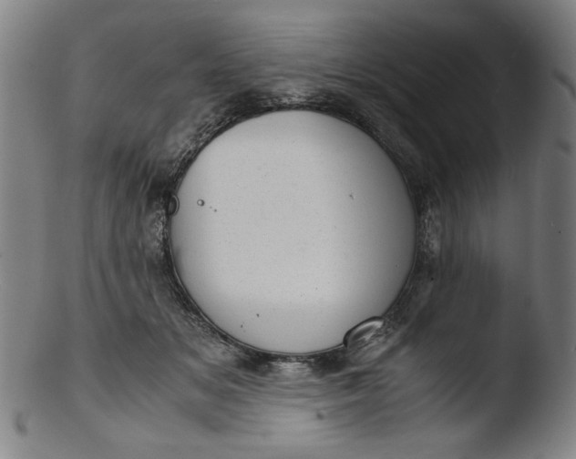 X0000103410509200809261647