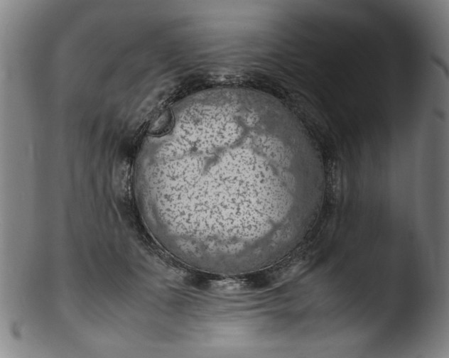 X0000103410511200809261647