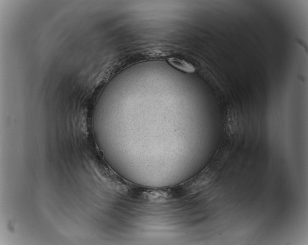 X0000103410512200809261647