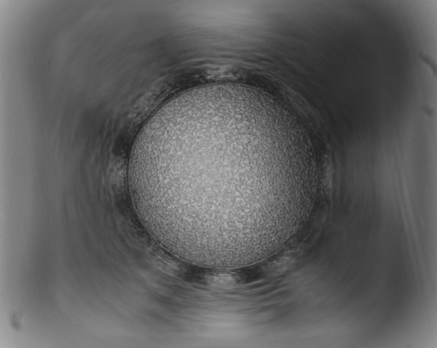 X0000103410513200809261646